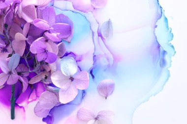 Sanatsal arkaplanda pembe ve mor ortanca çiçeklerinin yaratıcı görüntüsü. Kopyalama alanı olan üst görünüm
