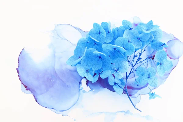 Creatief Beeld Van Blauwe Hortensia Bloemen Artistieke Inkt Achtergrond Bovenaanzicht — Stockfoto