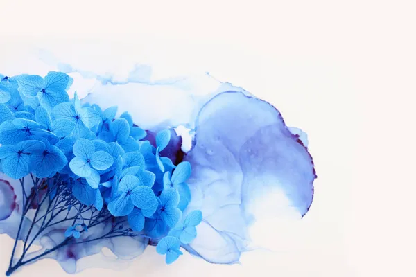 Imagen Creativa Flores Azules Hortensias Sobre Fondo Tinta Artística Vista —  Fotos de Stock