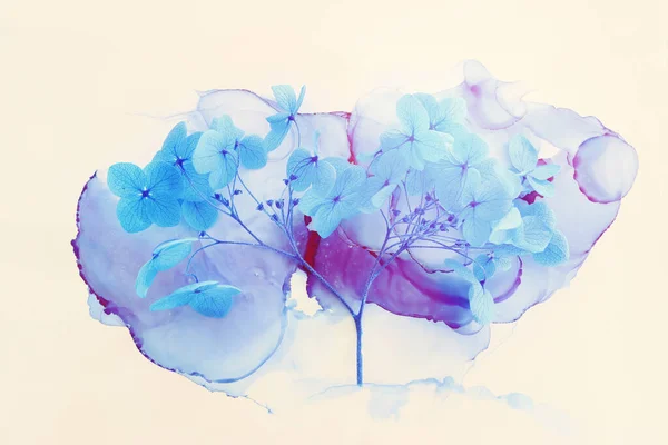 Creative Image Blue Hydrangea Flowers Artistic Ink Background Top View — Stock Photo, Image