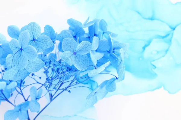 Creatief Beeld Van Blauwe Hortensia Bloemen Artistieke Inkt Achtergrond Bovenaanzicht — Stockfoto