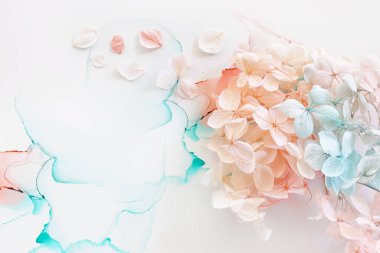 Sanatsal arkaplanda mavi ve pembe ortanca çiçeklerinin yaratıcı görüntüsü. Kopyalama alanı olan üst görünüm