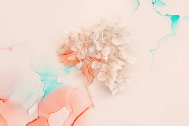 Sanatsal arkaplanda mavi ve pembe ortanca çiçeklerinin yaratıcı görüntüsü. Kopyalama alanı olan üst görünüm