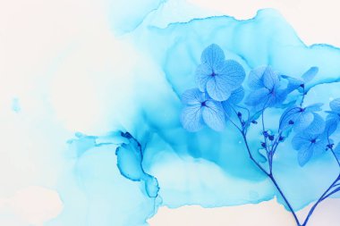 Sanatsal mürekkep arkaplanındaki mavi ortanca çiçeklerinin yaratıcı görüntüsü. Kopyalama alanı olan üst görünüm