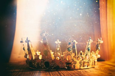 Güzel kraliçenin ya da kralın eski kitabın önündeki resmi. Eski model filtrelenmiş. fantezi ortaçağ dönemi