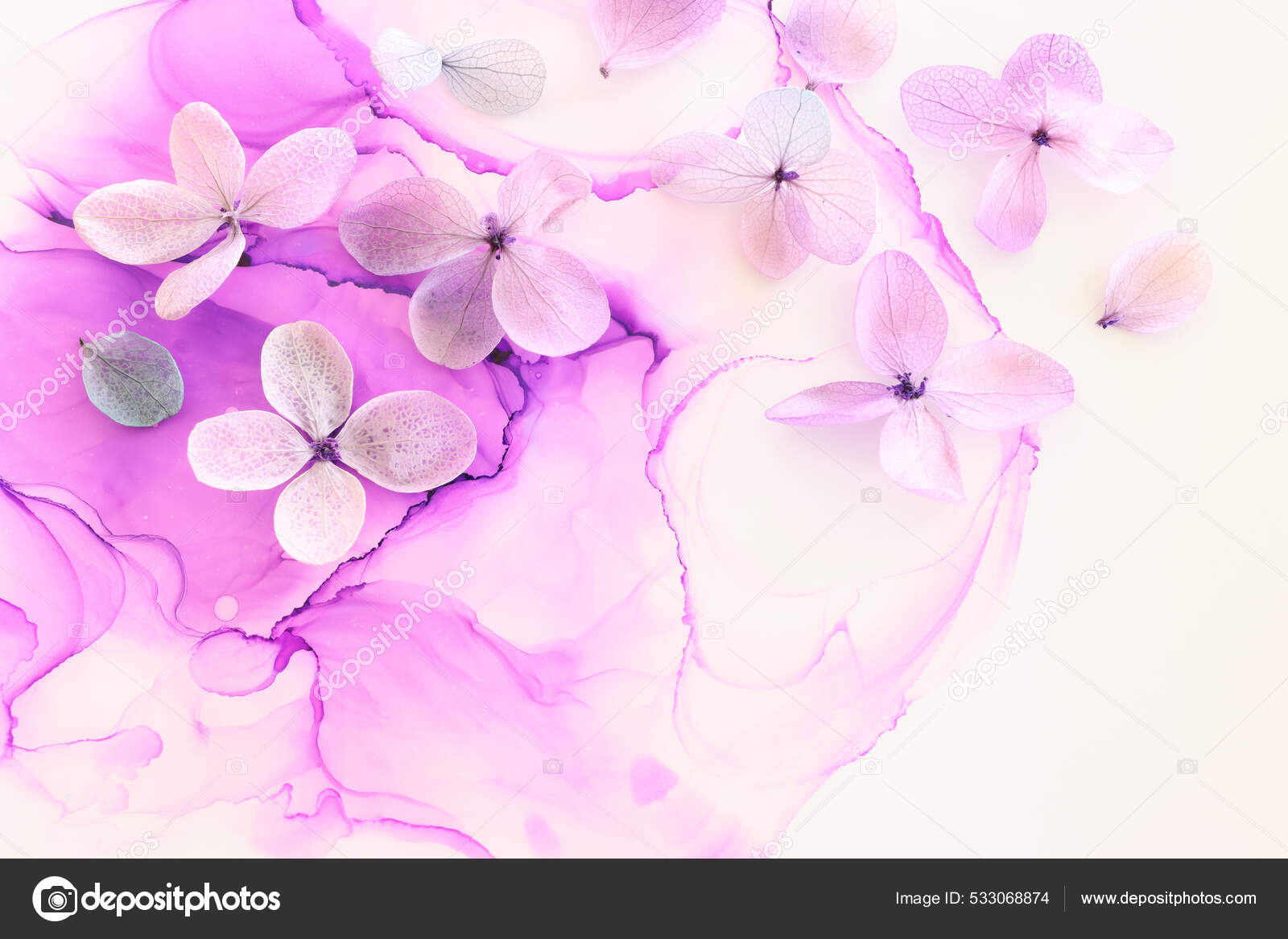 Imagen Creativa Flores Pastel Violeta Rosa Hortensias Sobre Fondo Tinta —  Foto de stock #533068874 © tomert, image size:1600x1167