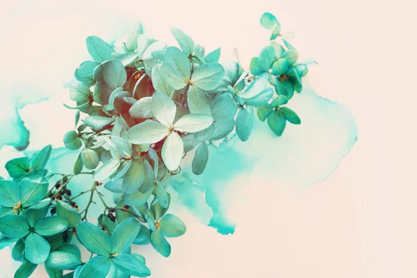 Creatief Beeld Van Smaragd Groene Hortensia Bloemen Artistieke Inkt Achtergrond — Stockfoto