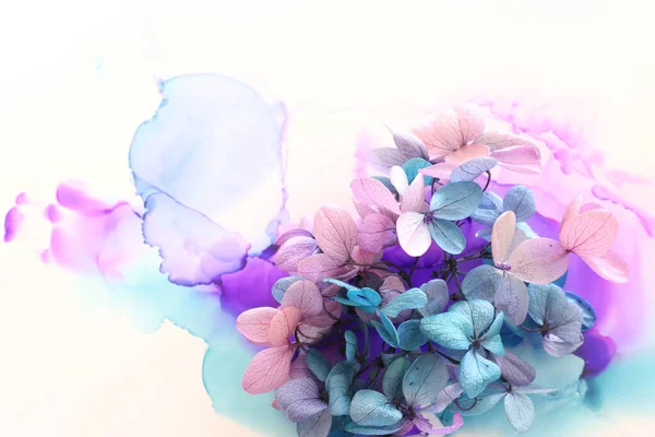 Creative Image Pink Turquoise Hydrangea Flowers Artistic Ink Background Top — Stock Photo, Image