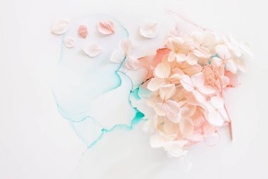 Sanatsal arkaplanda mavi ve pembe ortanca çiçeklerinin yaratıcı görüntüsü. Kopyalama alanı olan üst görünüm