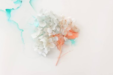 Sanatsal arkaplanda mavi ve pembe ortanca çiçeklerinin yaratıcı görüntüsü. Kopyalama alanı olan üst görünüm