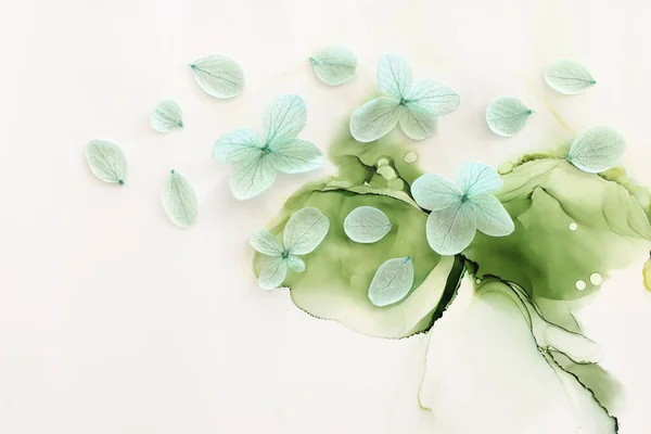 Imagen Creativa Flores Hortensia Verde Menta Pastel Sobre Fondo Tinta —  Fotos de Stock