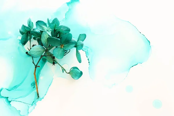 Creatief Beeld Van Smaragd Groene Hortensia Bloemen Artistieke Inkt Achtergrond — Stockfoto