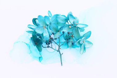 Sanatsal mürekkep arkaplanındaki mavi ortanca çiçeklerinin yaratıcı görüntüsü. Kopyalama alanı olan üst görünüm