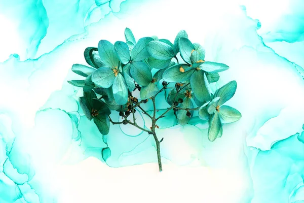 Kreatives Bild Von Smaragdgrünen Hortensienblüten Auf Künstlerischem Tuschgrund Draufsicht Mit — Stockfoto