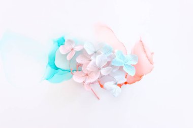 Sanatsal arkaplanda mavi ve pembe ortanca çiçeklerinin yaratıcı görüntüsü. Kopyalama alanı olan üst görünüm