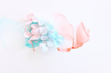 Sanatsal arkaplanda mavi ve pembe ortanca çiçeklerinin yaratıcı görüntüsü. Kopyalama alanı olan üst görünüm