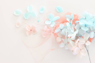 Sanatsal arkaplanda mavi ve pembe ortanca çiçeklerinin yaratıcı görüntüsü. Kopyalama alanı olan üst görünüm