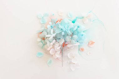 Sanatsal arkaplanda mavi ve pembe ortanca çiçeklerinin yaratıcı görüntüsü. Kopyalama alanı olan üst görünüm