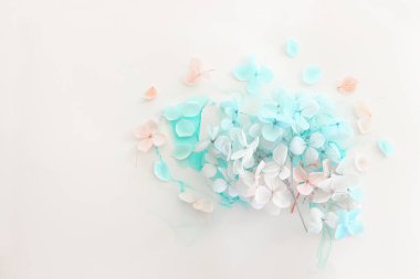 Sanatsal arkaplanda mavi ve pembe ortanca çiçeklerinin yaratıcı görüntüsü. Kopyalama alanı olan üst görünüm