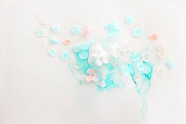 Sanatsal arkaplanda mavi ve pembe ortanca çiçeklerinin yaratıcı görüntüsü. Kopyalama alanı olan üst görünüm