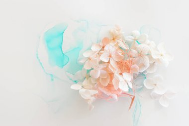 Sanatsal arkaplanda mavi ve pembe ortanca çiçeklerinin yaratıcı görüntüsü. Kopyalama alanı olan üst görünüm