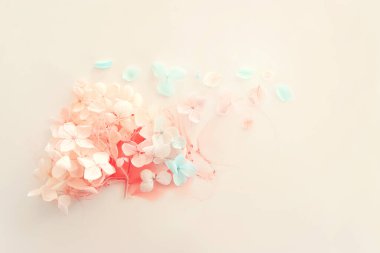 Sanatsal arkaplanda mavi ve pembe ortanca çiçeklerinin yaratıcı görüntüsü. Kopyalama alanı olan üst görünüm