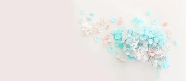 Imagem Criativa Flores Hortênsia Azul Rosa Pastel Sobre Fundo Tinta — Fotografia de Stock
