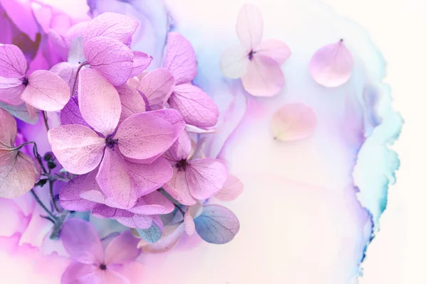 Kreatives Bild Von Pastellvioletten Und Rosa Hortensienblüten Auf Künstlerischem Tuschgrund — Stockfoto