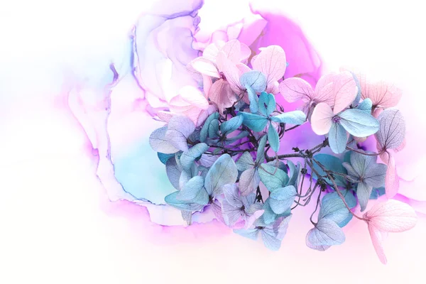 Creatief Beeld Van Roze Turquoise Hortensia Bloemen Artistieke Inkt Achtergrond — Stockfoto