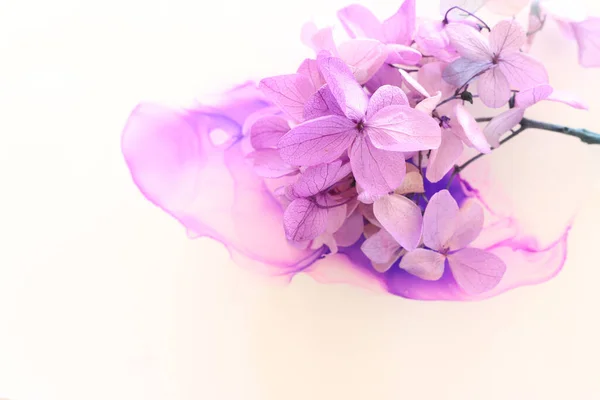 Creatief Beeld Van Pastel Violet Roze Hortensia Bloemen Artistieke Inkt — Stockfoto