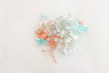 Sanatsal arkaplanda mavi ve pembe ortanca çiçeklerinin yaratıcı görüntüsü. Kopyalama alanı olan üst görünüm