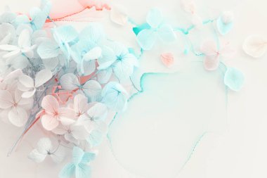 Sanatsal arkaplanda mavi ve pembe ortanca çiçeklerinin yaratıcı görüntüsü. Kopyalama alanı olan üst görünüm