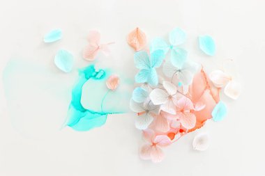 Sanatsal arkaplanda mavi ve pembe ortanca çiçeklerinin yaratıcı görüntüsü. Kopyalama alanı olan üst görünüm