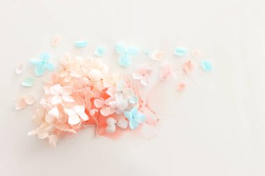 Sanatsal arkaplanda mavi ve pembe ortanca çiçeklerinin yaratıcı görüntüsü. Kopyalama alanı olan üst görünüm