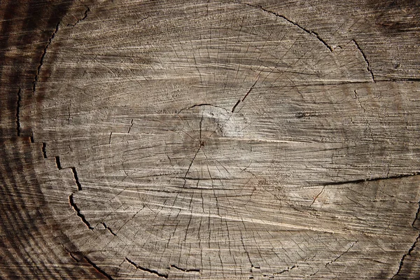 Immagine Della Consistenza Del Legno Natura — Foto Stock