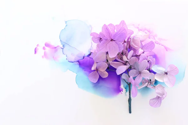 Creatief Beeld Van Pastel Violet Roze Hortensia Bloemen Artistieke Inkt — Stockfoto