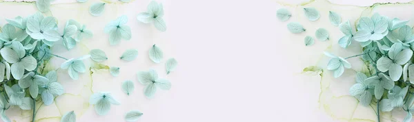 Imagine Creativă Florilor Pastelate Mentă Verde Hydrangea Fundal Artistic Cerneală — Fotografie, imagine de stoc