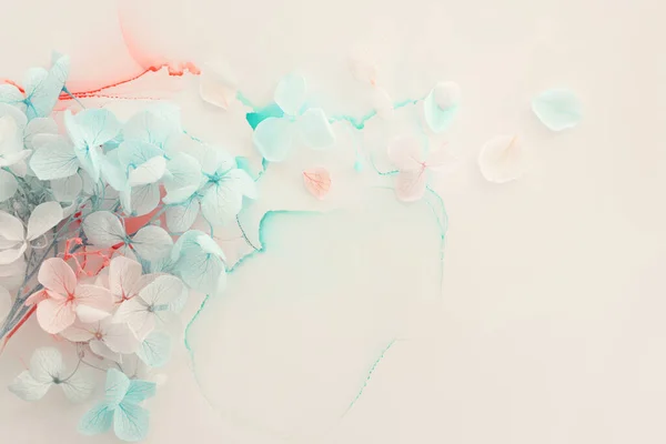 Image Créative Fleurs Hortensia Bleu Pastel Rose Sur Fond Encre — Photo