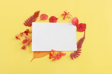 Sarı zemin üzerinde sonbahar ormanı doğal bileşiminin üst görüntüsü yatıyordu.