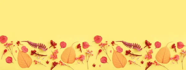 黄色の背景に秋の森の自然の組成物のトップビューの画像 — ストック写真