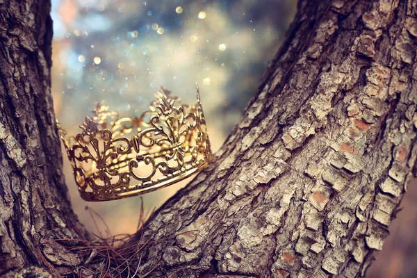 黄金王冠在森林中的神秘而神奇的照片 中世纪的概念 — 图库照片