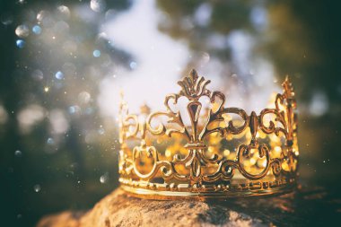 Ormanda taş üstünde altın kralın gizemli ve sihirli fotoğrafı. Ortaçağ konsepti.