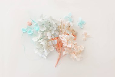 Sanatsal arkaplanda mavi ve pembe ortanca çiçeklerinin yaratıcı görüntüsü. Kopyalama alanı olan üst görünüm