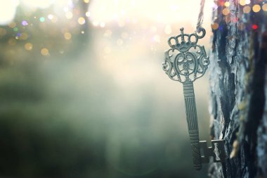 Ormandaki bir ağaç gövdesinde antik bir anahtar asılı.