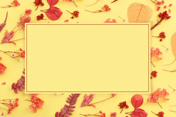 Horní Pohled Obraz Podzimního Lesa Přírodní Složení Přes Žluté Pozadí — Stock fotografie