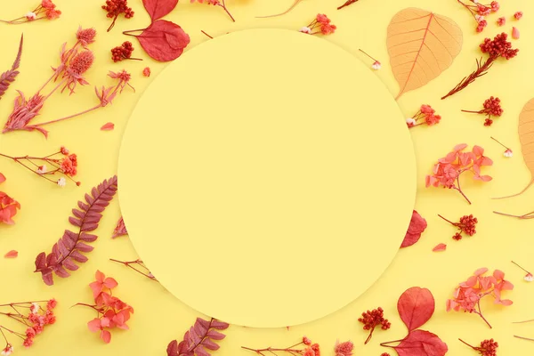 Draufsicht Bild Des Herbstwaldes Natürliche Zusammensetzung Über Gelbem Hintergrund Flache — Stockfoto