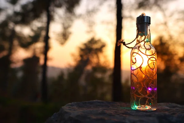 Bild Mystisk Flaska Med Glitter Ljus Skogen Vid Solnedgången — Stockfoto