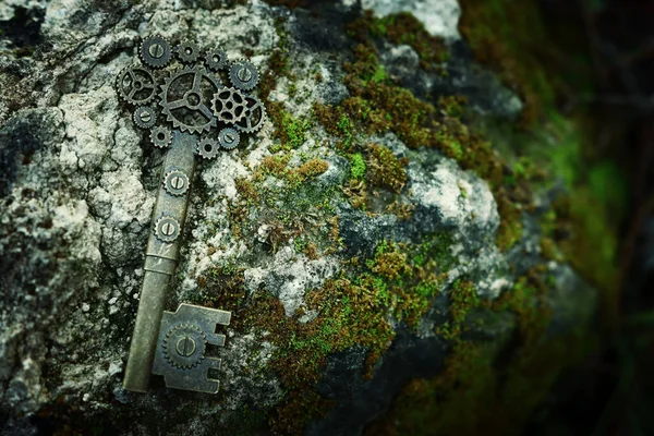 Egy Ősi Kulcs Kövön Mohával Erdőben — Stock Fotó