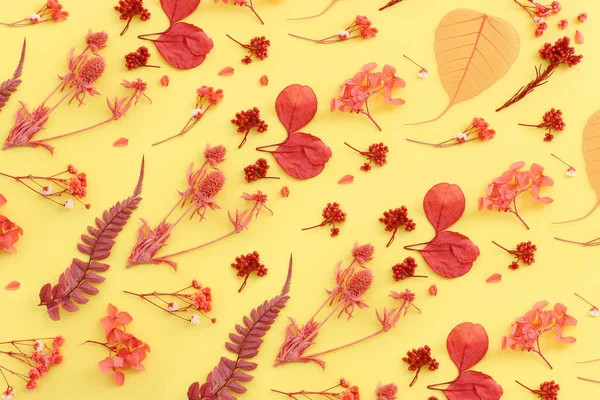 黄色を背景にした秋の森の自然構成のトップビュー画像 フラットレイ — ストック写真