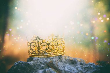 Ormandaki altın kralın gizemli ve sihirli fotoğrafı. Ortaçağ konsepti.